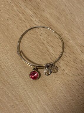 Alex and Ani Silver Charm Bracelet